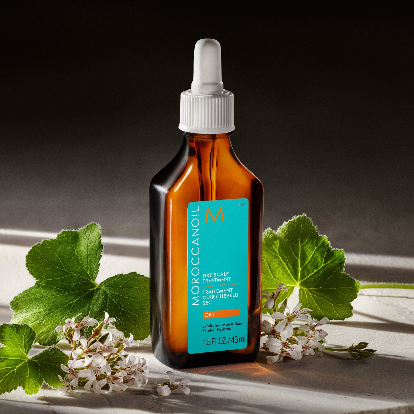 Moroccanoil Behandlung trockene Kopfhaut