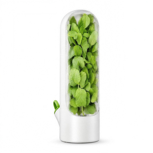 H-basics Kräuterfrischhalter für den Kühlschrank mit Wassertank – hält Kräuter & Gemüse länger frisch
